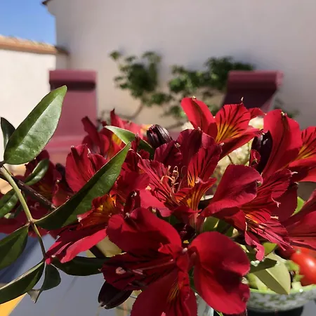 Holiday home La Catalane